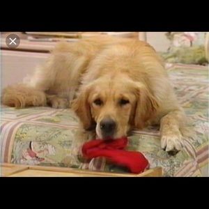 Meet your Posher, Cash